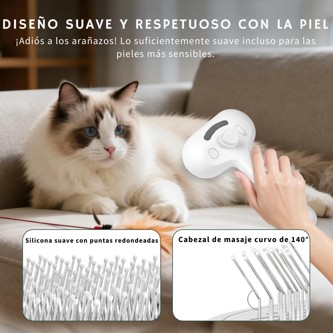 cepillo a vapor