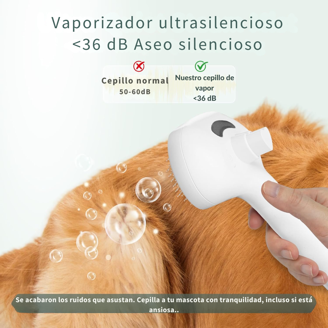 cepillo a vapor