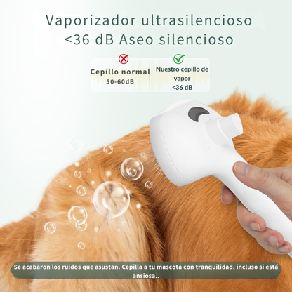 cepillo a vapor
